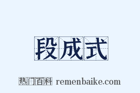 段成式是什么意思的图片